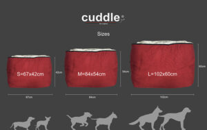 Wir testen den cuddle up von actionfactory