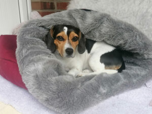 Jacky testet den cuddle up von actionfactory
