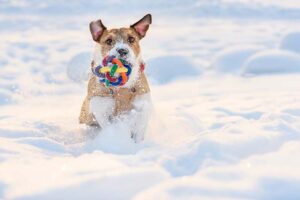 Outdoorspaß im Schnee