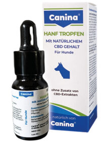 Hunde mit CBD entspannen