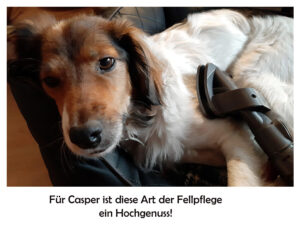 Fellpflege mal anders