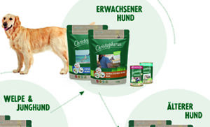 Hunde bedarsgerecht ernähren