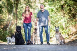 Stressbewältigung bei Hunden