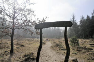Freiheit in der Setz- und Schonzeit