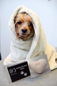 Hochwertige Pflegeprodukte für den Hund