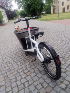 Mit Hund und E-Bike durch Stadt und Land