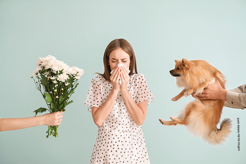 Wenn die Pollen fliegen