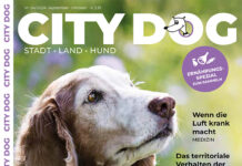 CITY DOG – Ausgabe 04 2024