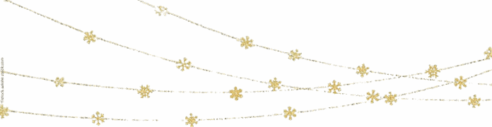 CITY_DOG-Adventskalender-Sternenbanndergirlande-removebg-preview