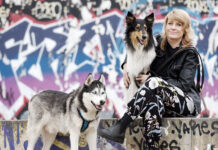 Hilfe, mein Hund – Coaching für Hundehalter Coaching für Hundehalter