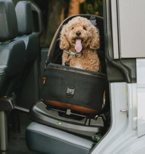 Hundetransport und Bett in einem
