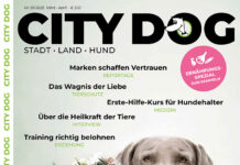 CITY DOG – Ausgabe 01 2025