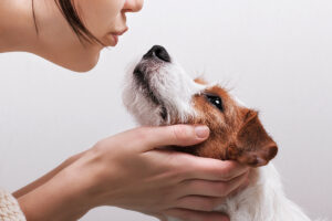 Warum tut der Hund, was er tut?