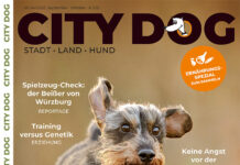 CITY DOG – Ausgabe 04 2025 Die Herbstausgabe von CITY DOG
