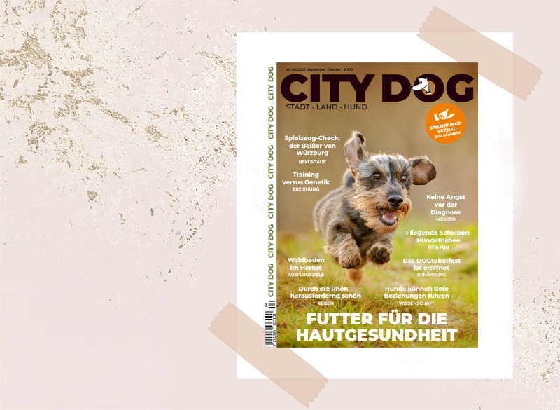 Die neue Ausgabe ist da