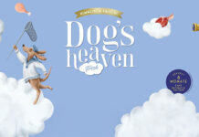 DOG´S HEAVEN – Himmlisch frisch, himmlisch lecker, himmlisch gut Die frischeste Hundenahrung aller Zeiten
