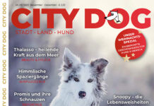 CITY DOG – Ausgabe 05 2026 Spannendes zum Lesen
