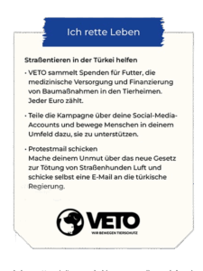 Tierleid in der Türkei