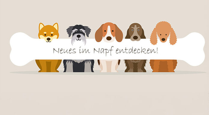 Showroom – Delikatessen für sensible Hunde Futter für Sensibelchen bestellen