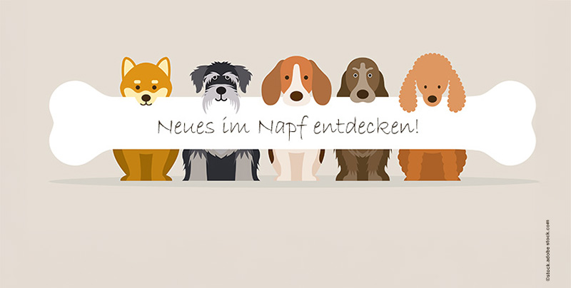 Hundeernährung-Showroom-November-sensibel Futter für Sensibelchen bestellen