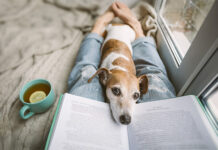 Bellotristik – Tierisch guter Lesestoff für den Winter Spannendes zum Lesen
