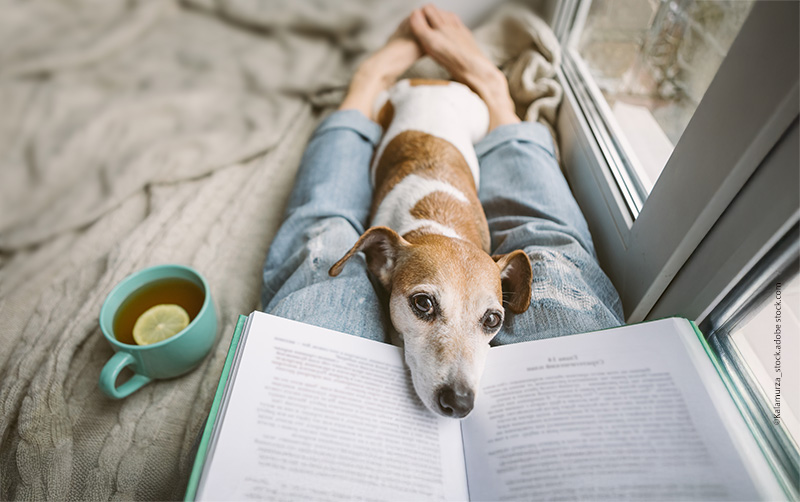 Leben mit Hund-Bellotristik-Winter Spannendes zum Lesen