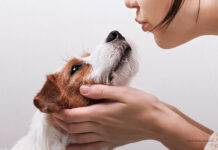 FRONTPRO – Viel Nähe braucht sicheren Schutz Parasitenprophylaxe ist wichtig