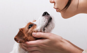 FRONTPRO – Viel Nähe braucht sicheren Schutz Parasitenprophylaxe ist wichtig