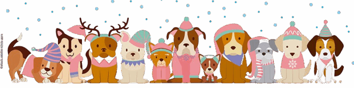 CITY_DOG-Adventskalender-Girlande-Winterhunde-removebg-preview