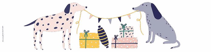 CITY_DOG-Adventskalender-HundundGeschenk-removebg-preview