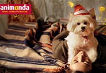 animonda – Charityevent für den Tierschutz Tierfutter von animonda