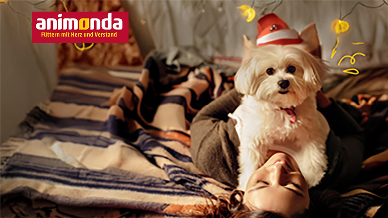 Hundeernährung-animonda-Aufmacher Tierfutter von animonda