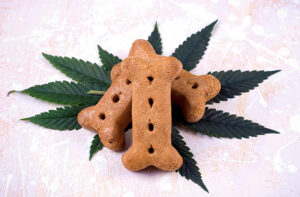 Sanfte Therpaie gegen Stress an Silvester