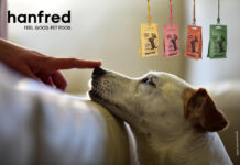 hanfred – Das SOS-System für Hunde und an Silvester Nahrungsergänzungen mit Hanf