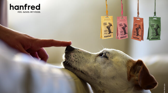 hanfred – Das SOS-System für Hunde und an Silvester