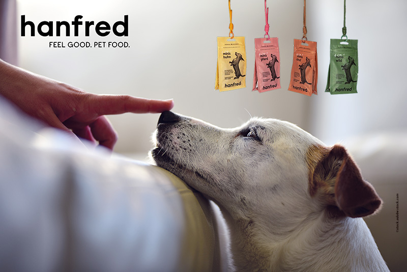 Leben mit Hund-hanfred-neu Hanf für Hunde