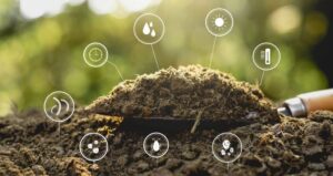 Hundekot umweltfreundlich entsorgen