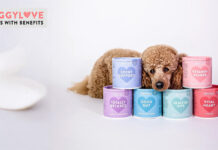 D♥GGY L♥VE – Liebeserklärungen mit Benefit Funktionssnacks für Hunde im Test