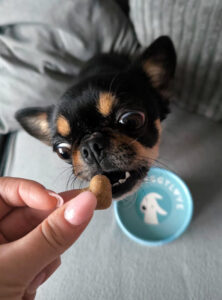 Funktionssnacks im Test