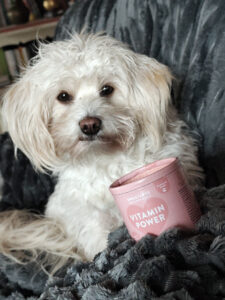 Funktionssnacks im Test