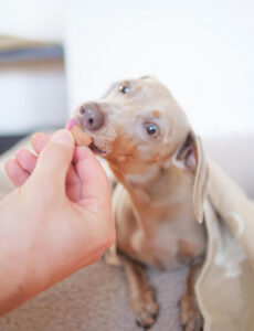 Funktionssnacks im Test