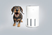 Produkttest – Frische Luft mit dem KLYQA Air Klyna Frische Luft im Hundehaushalt