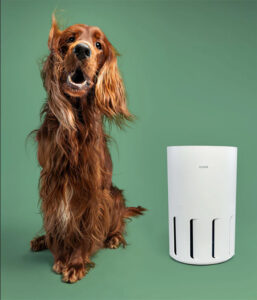 Lufterfrischung im Hundehaushalt