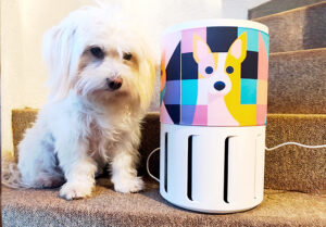 Luftreinigung im Hundehaushalt