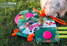 Produkttest – Hundespielzeug von healthy Toys Hundespielzeug im Test