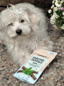 Tierisch gute Zahnpflege