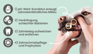 Tierisch gute Zahnpflege