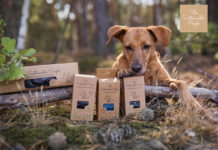 The Sustainable People – Hundekot aufsammeln lohnt sich