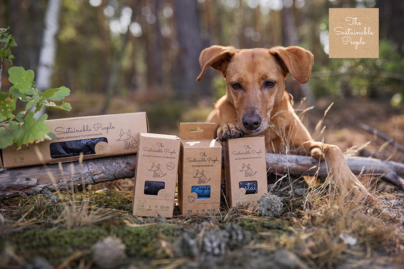 Leben mit Hund-The Sustainabel People-Aufmacher