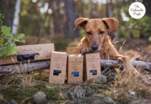 The Sustainable People – Hundekot aufsammeln lohnt sich Umweltfreundliches Entsorgen von Hundekot